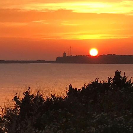 Conil, Descanso En La Dehesa Conil De La Frontera Dış mekan fotoğraf